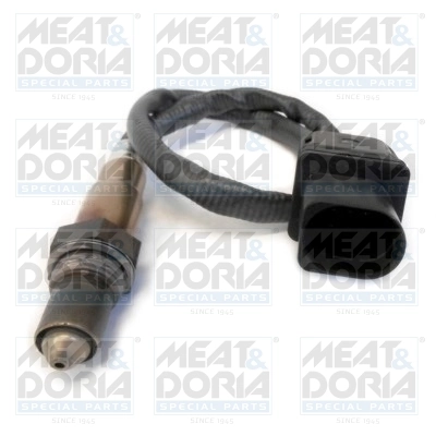 Oxygen Sensor